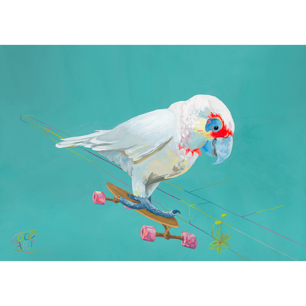 A Corella riding a skateboard. A bird Art print for kids room by Australian artist Jaelle Pedroli