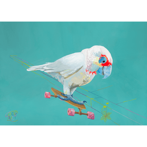 A Corella riding a skateboard. A bird Art print for kids room by Australian artist Jaelle Pedroli