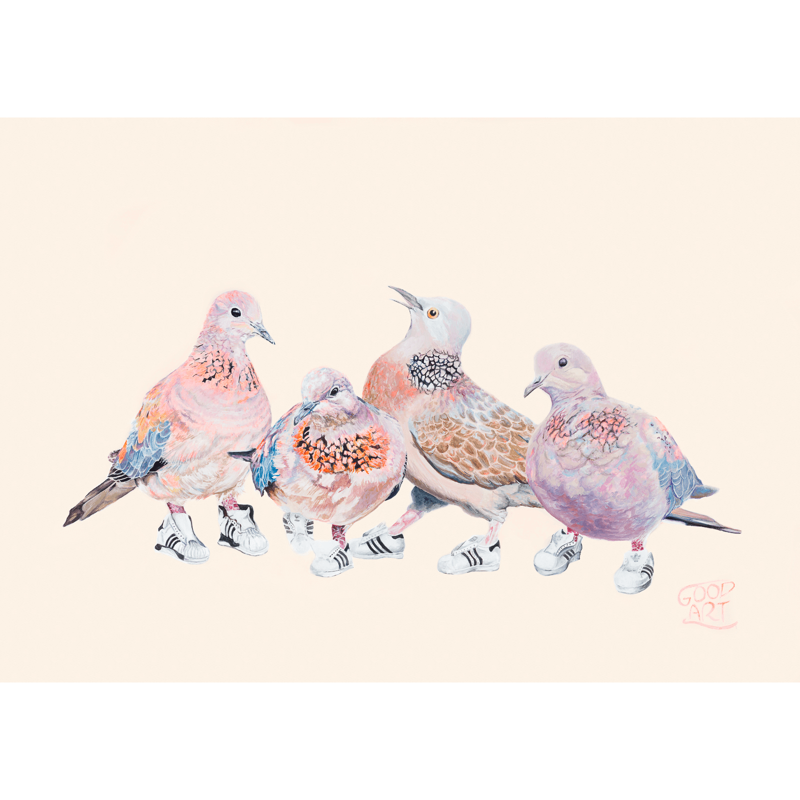 An artwork of Laughing and Spotted Doves. Four birds in total wearing Run DMC adidas sneakers. An Australian bird Art print for a boy or girls bedroom. Painted by Good Art.