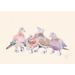 An artwork of Laughing and Spotted Doves. Four birds in total wearing Run DMC adidas sneakers. An Australian bird Art print for a boy or girls bedroom. Painted by Good Art.