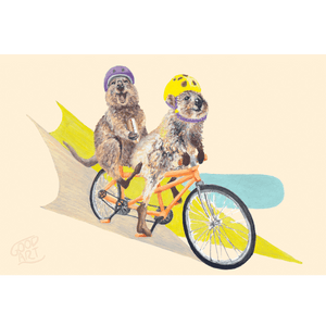 An art print of two Rottnest quokkas riding an orange tandem bike. The laughing quokka at the back with legs in the air isn’t peddling but instead is eating a cream bun.